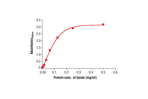 PathScan® Total α-Tubulin Sandwich ELISA Antibody Pair - 1 Kit