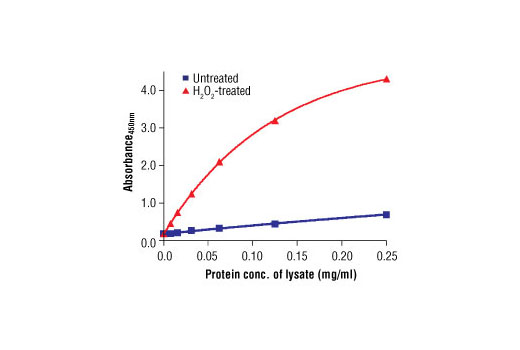 PathScan® Phospho-Src (Tyr416) Sandwich ELISA Antibody Pair - 1 Kit