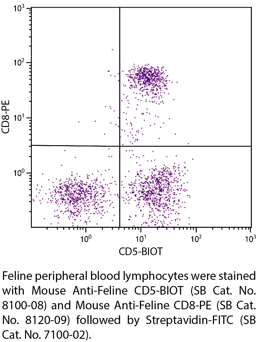 Mouse Anti-Feline CD5-BIOT - 0.5 mg