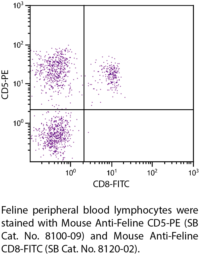 Mouse Anti-Feline CD5-PE - 0.1 mg
