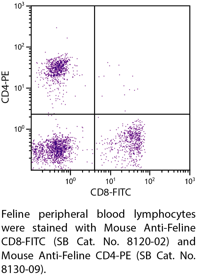 Mouse Anti-Feline CD8-FITC - 0.5 mg