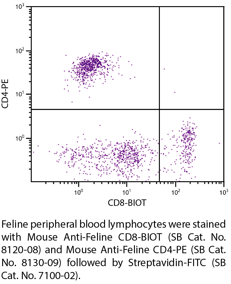 Mouse Anti-Feline CD8-BIOT - 0.5 mg