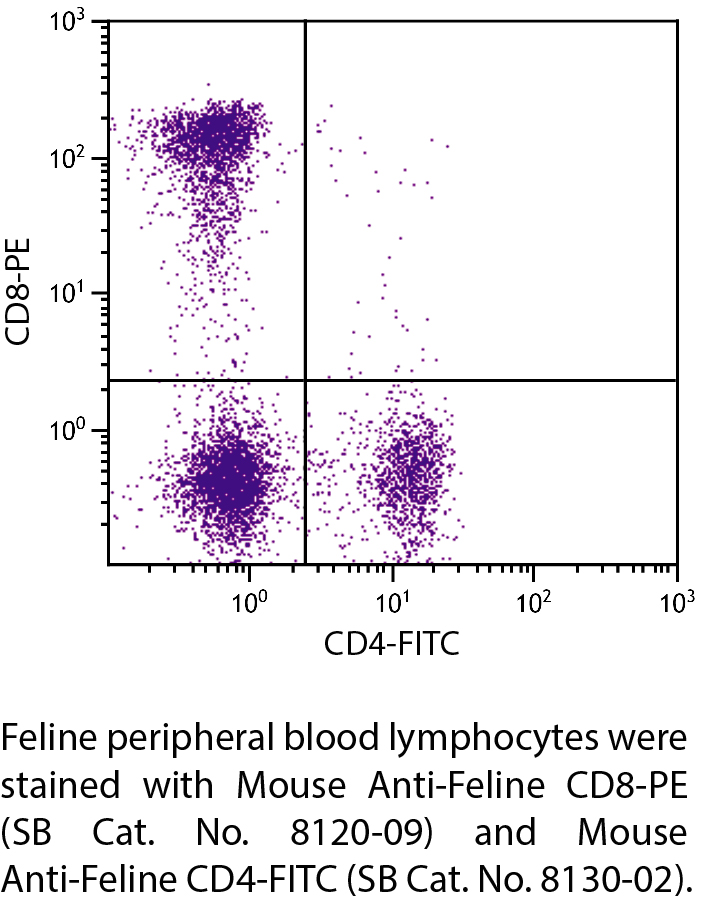 Mouse Anti-Feline CD8-PE - 0.1 mg