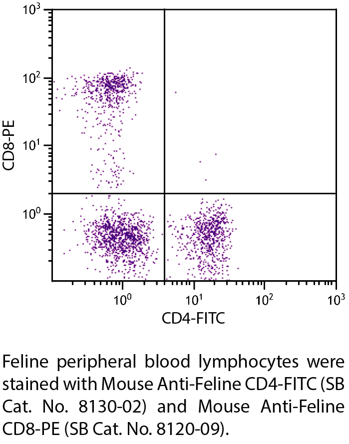 Mouse Anti-Feline CD4-FITC - 0.5 mg