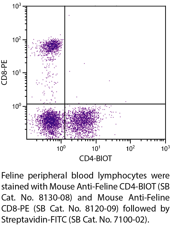 Mouse Anti-Feline CD4-BIOT - 0.5 mg