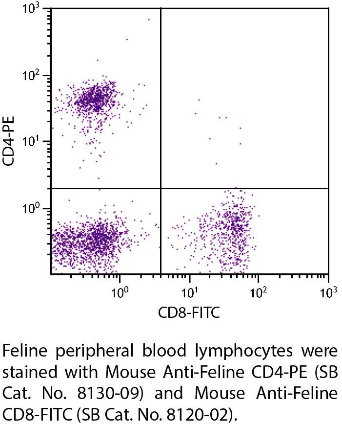 Mouse Anti-Feline CD4-PE - 0.1 mg