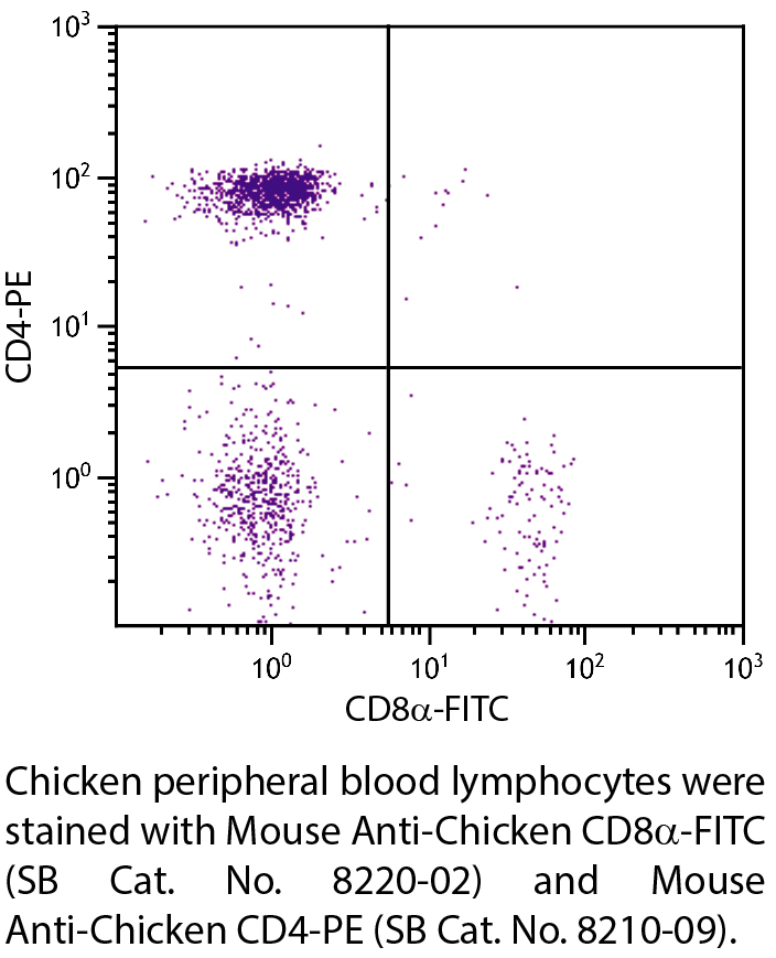 Mouse Anti-Chicken CD8α-FITC - 0.5 mg