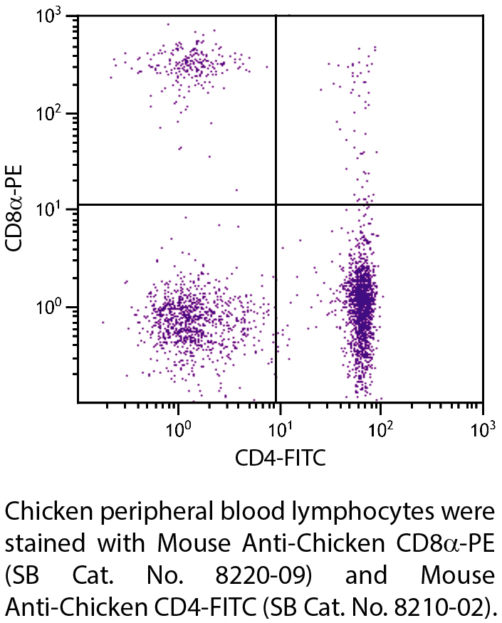 Mouse Anti-Chicken CD8α-PE - 0.1 mg