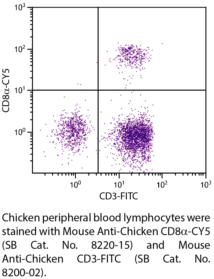 Mouse Anti-Chicken CD8α-CY5 - 0.1 mg