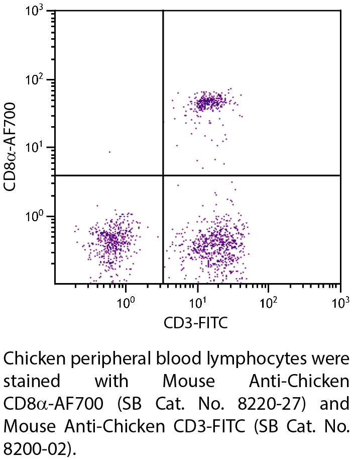 Mouse Anti-Chicken CD8α-AF700 - 0.1 mg