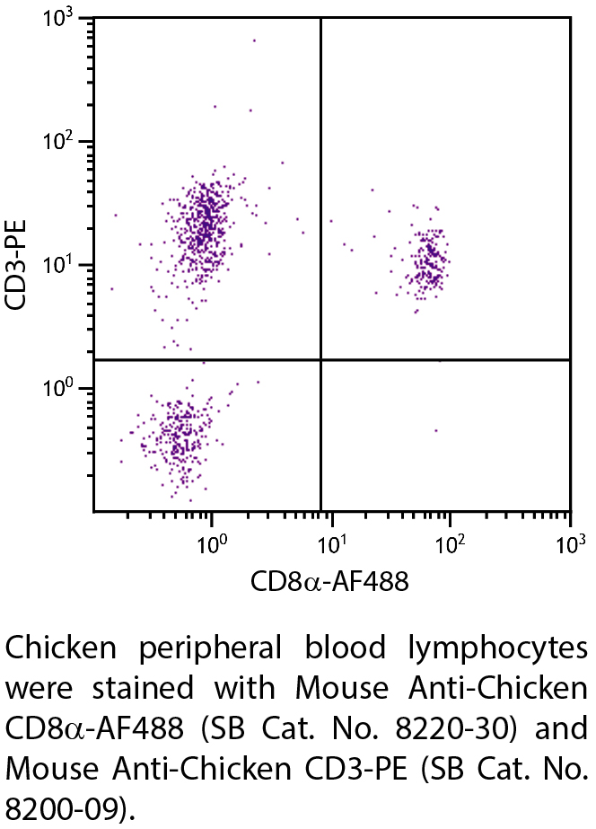 Mouse Anti-Chicken CD8α-AF488 - 0.1 mg