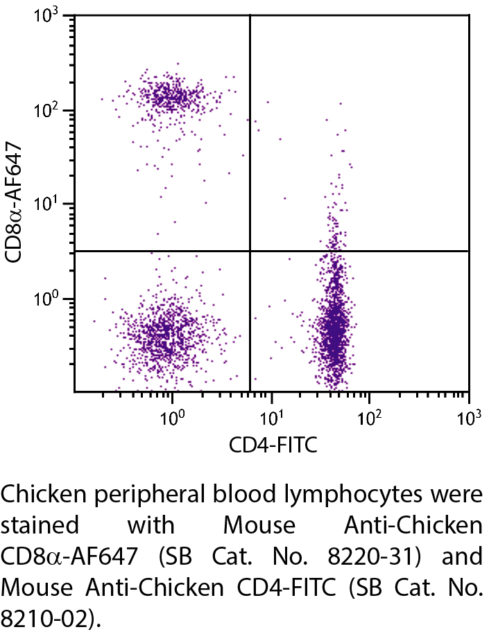 Mouse Anti-Chicken CD8α-AF647 - 0.1 mg