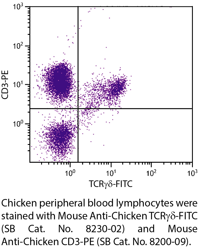 Mouse Anti-Chicken TCRγδ-FITC - 0.5 mg