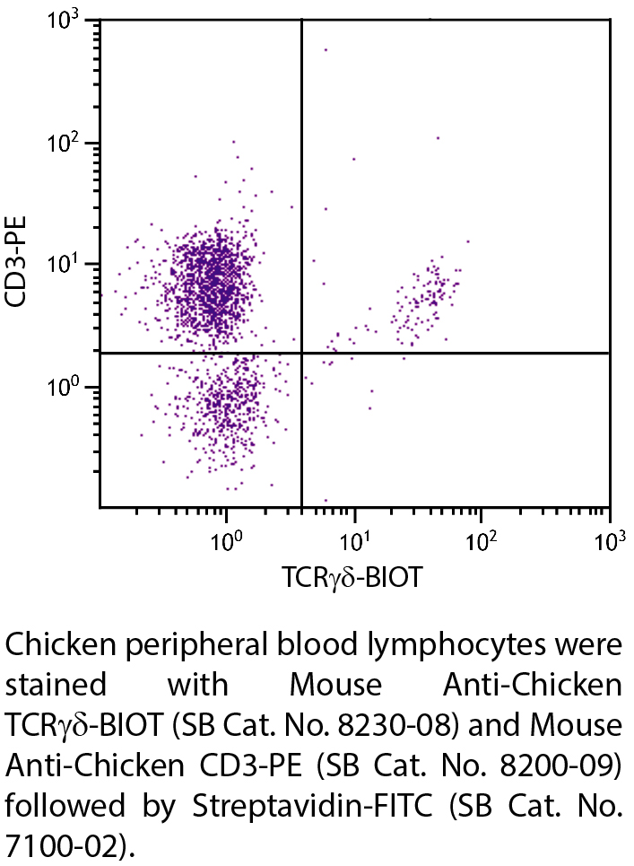 Mouse Anti-Chicken TCRγδ-BIOT - 0.5 mg