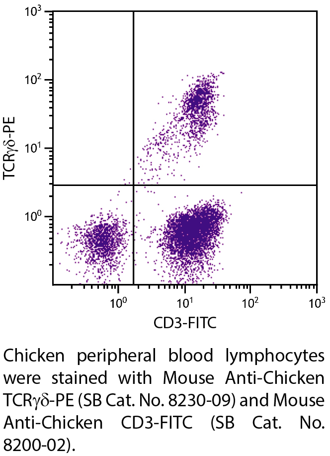 Mouse Anti-Chicken TCRγδ-PE - 0.1 mg