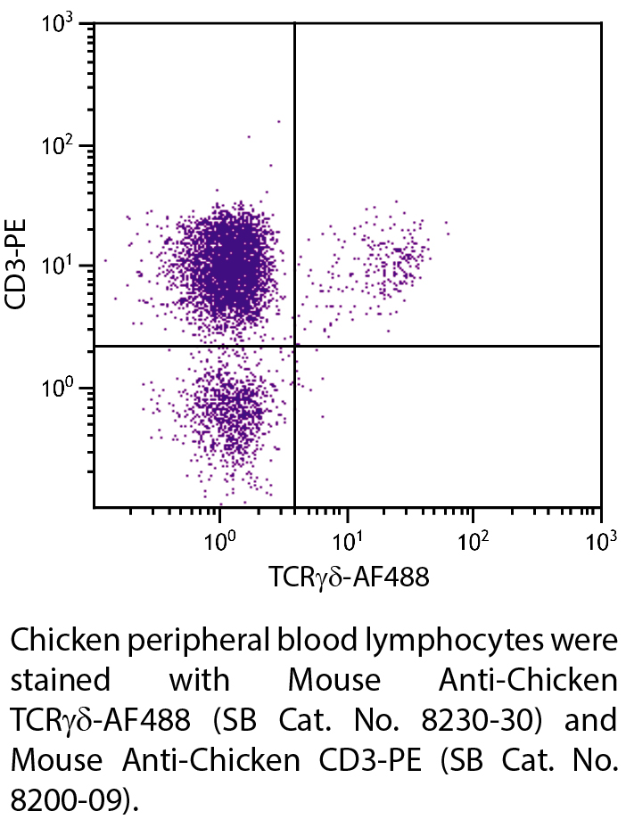 Mouse Anti-Chicken TCRγδ-AF488 - 0.1 mg