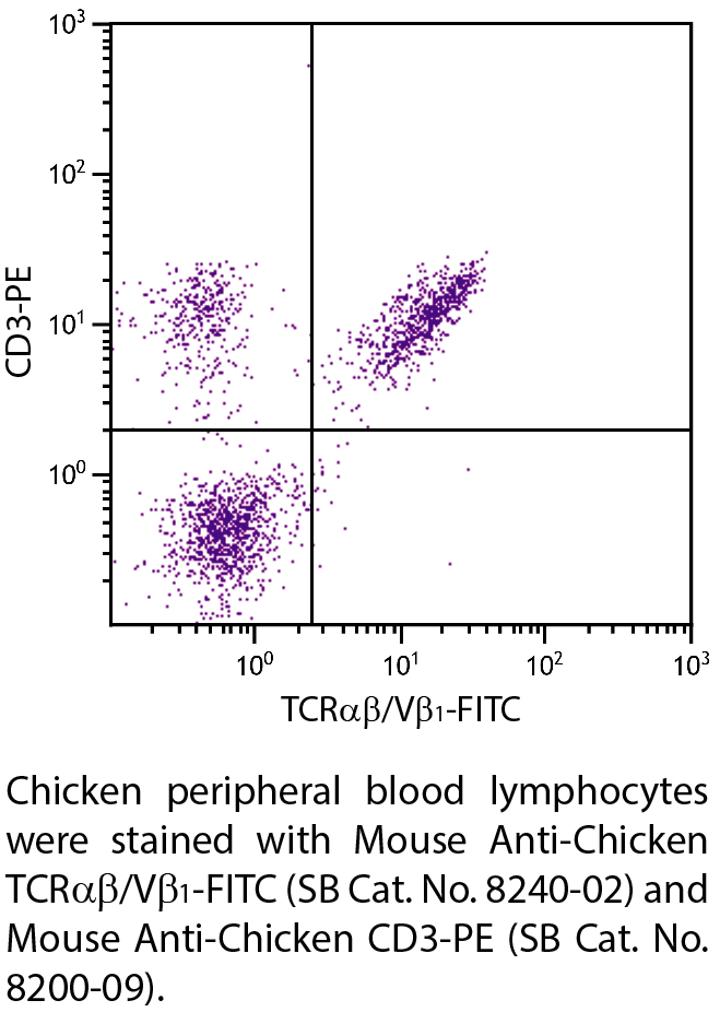 Mouse Anti-Chicken TCRαβ/Vβ1-FITC - 0.5 mg