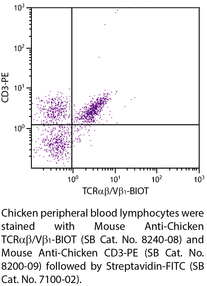 Mouse Anti-Chicken TCRαβ/Vβ1-BIOT - 0.5 mg