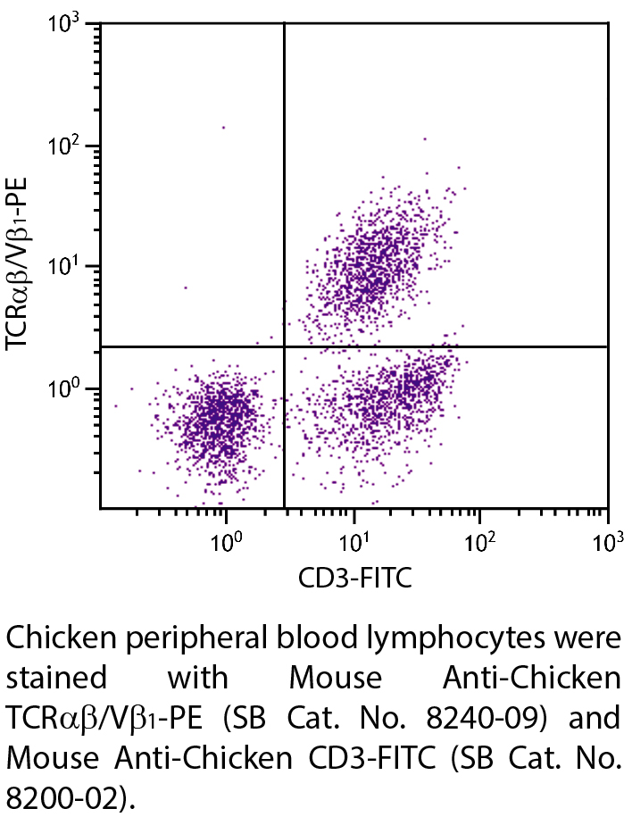 Mouse Anti-Chicken TCRαβ/Vβ1-PE - 0.1 mg