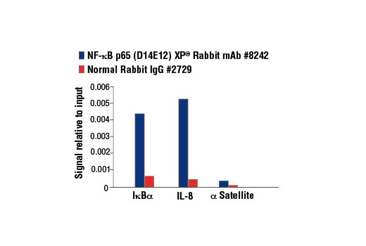 NF-κB Family Antibody Sampler Kit II - 1 Kit