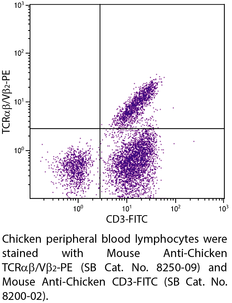 Mouse Anti-Chicken TCRαβ/Vβ2-PE - 0.1 mg