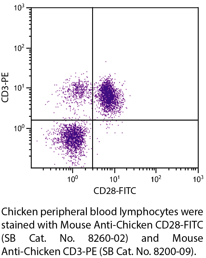 Mouse Anti-Chicken CD28-FITC - 0.5 mg