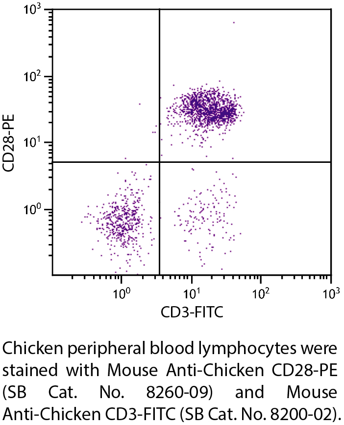 Mouse Anti-Chicken CD28-PE - 0.1 mg