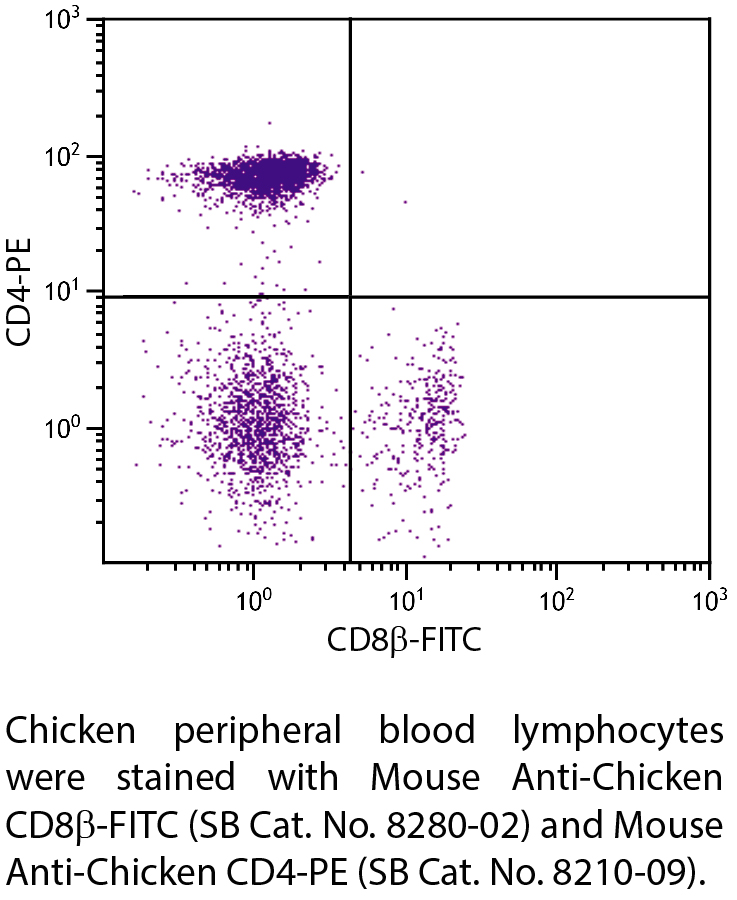 Mouse Anti-Chicken CD8β-FITC - 0.5 mg