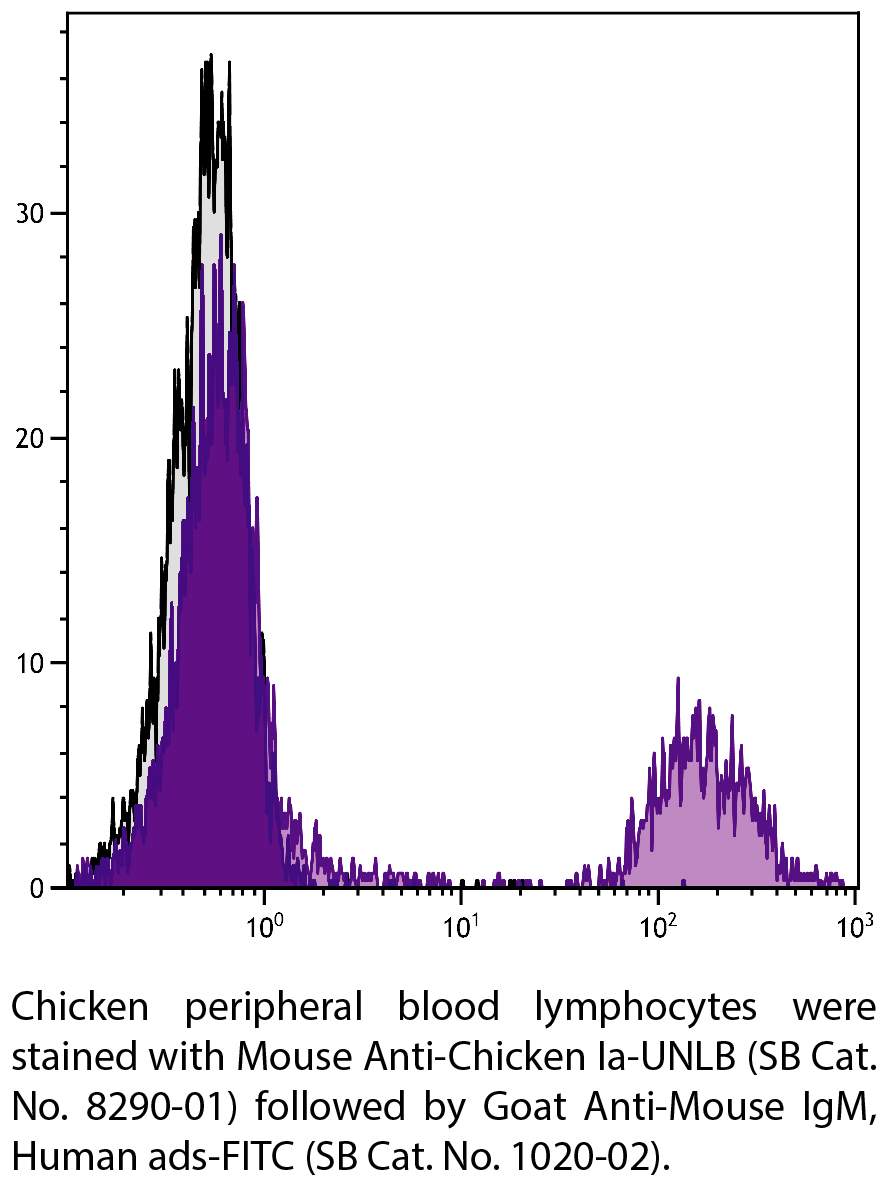 Mouse Anti-Chicken Ia-UNLB - 0.5 mg