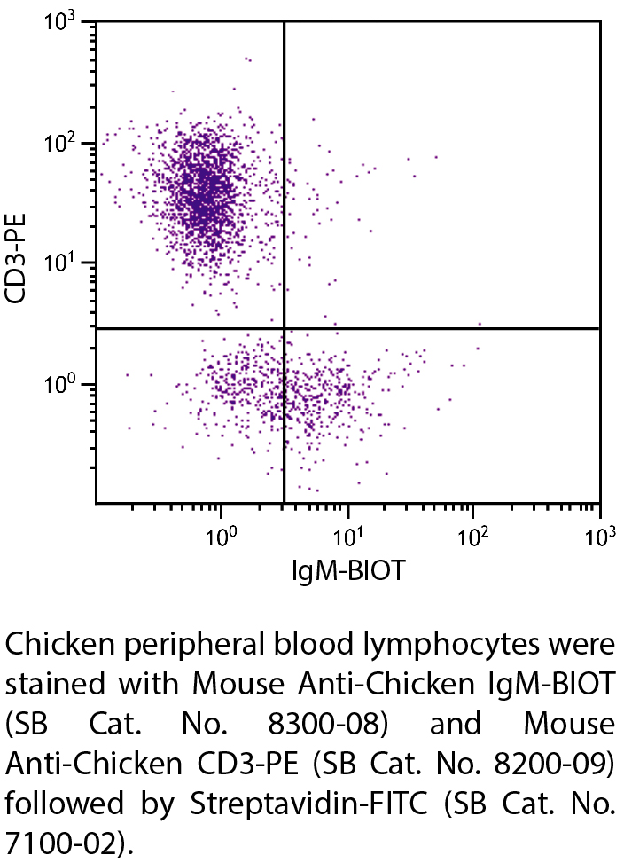 Mouse Anti-Chicken IgM-BIOT - 0.5 mg