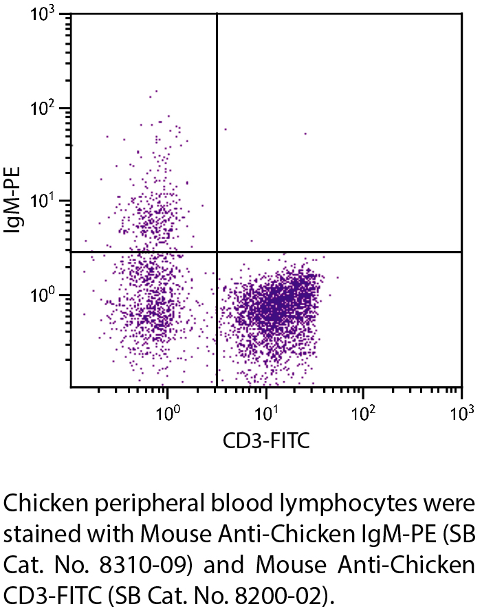 Mouse Anti-Chicken IgM-PE - 0.1 mg