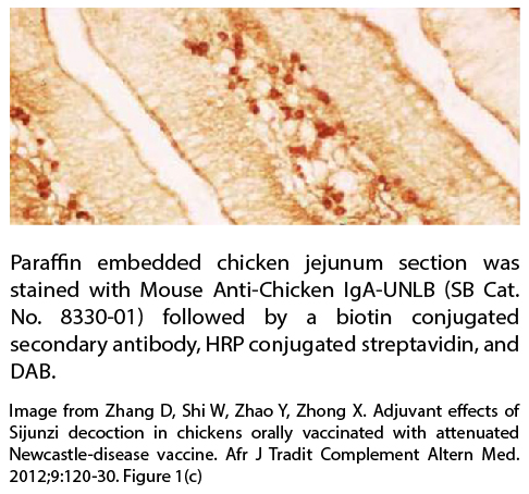 Mouse Anti-Chicken IgA-UNLB - 0.5 mg