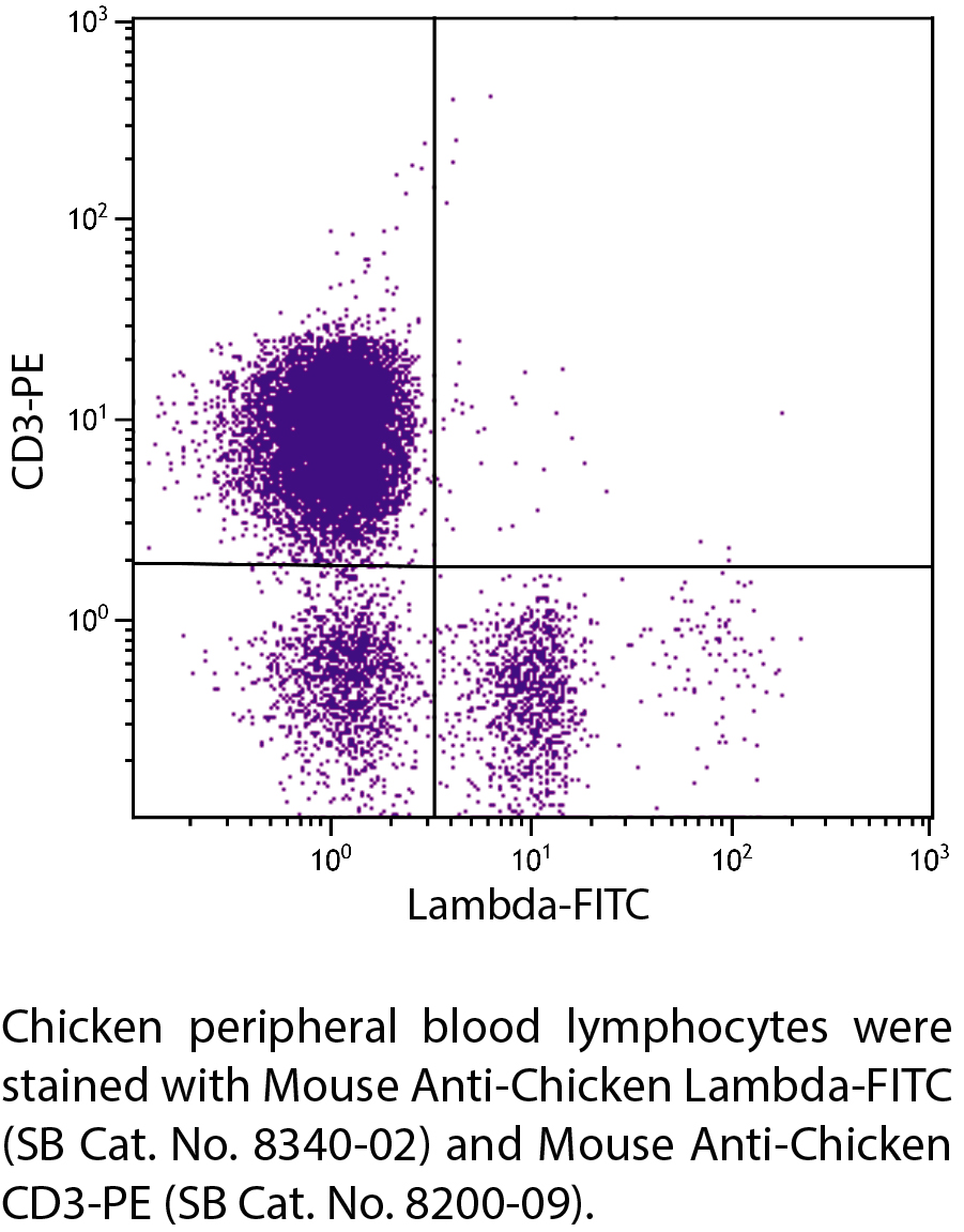 Mouse Anti-Chicken Lambda-FITC - 0.5 mg