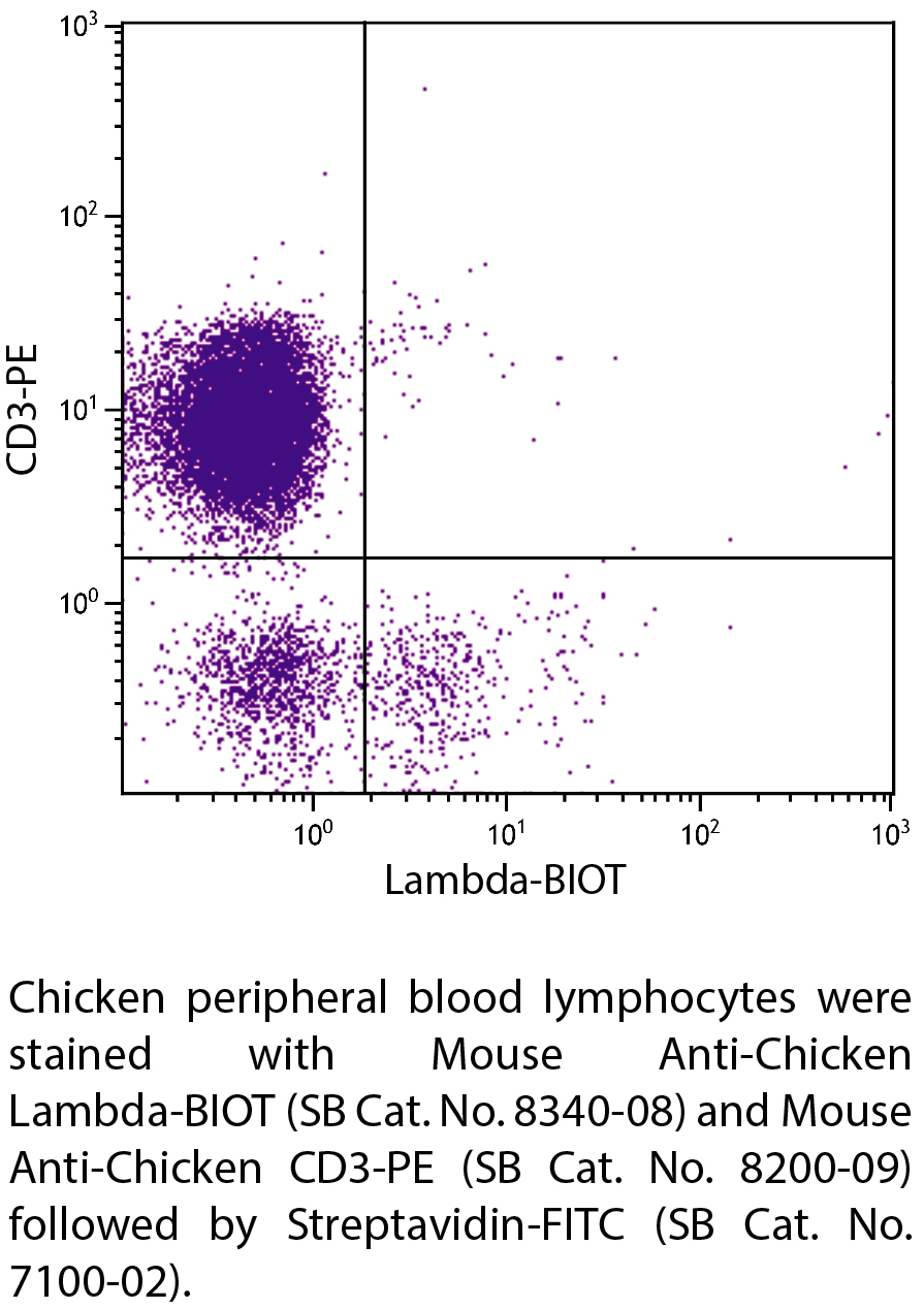 Mouse Anti-Chicken Lambda-BIOT - 0.5 mg