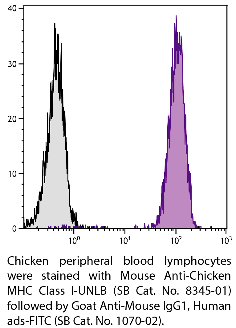 Mouse Anti-Chicken MHC Class I-UNLB - 0.5 mg