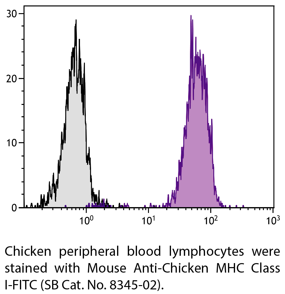 Mouse Anti-Chicken MHC Class I-FITC - 0.5 mg