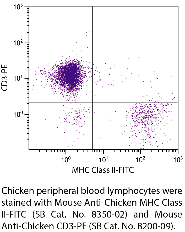 Mouse Anti-Chicken MHC Class II-FITC - 0.5 mg