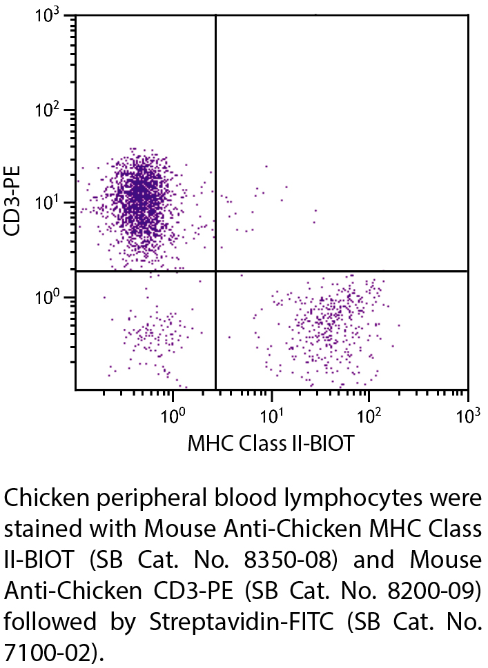 Mouse Anti-Chicken MHC Class II-BIOT - 0.5 mg