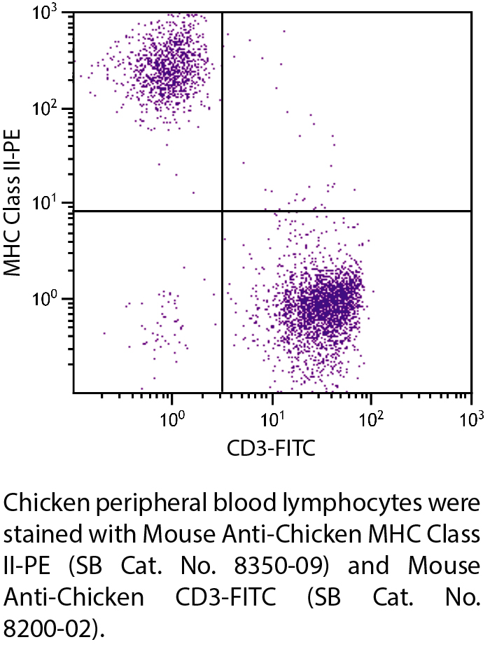 Mouse Anti-Chicken MHC Class II-PE - 0.1 mg