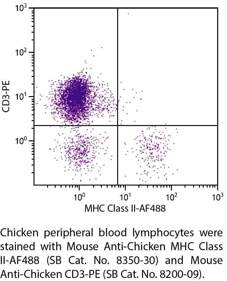 Mouse Anti-Chicken MHC Class II-AF488 - 0.1 mg
