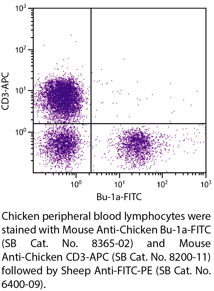 Mouse Anti-Chicken Bu-1a-FITC - 0.5 mg