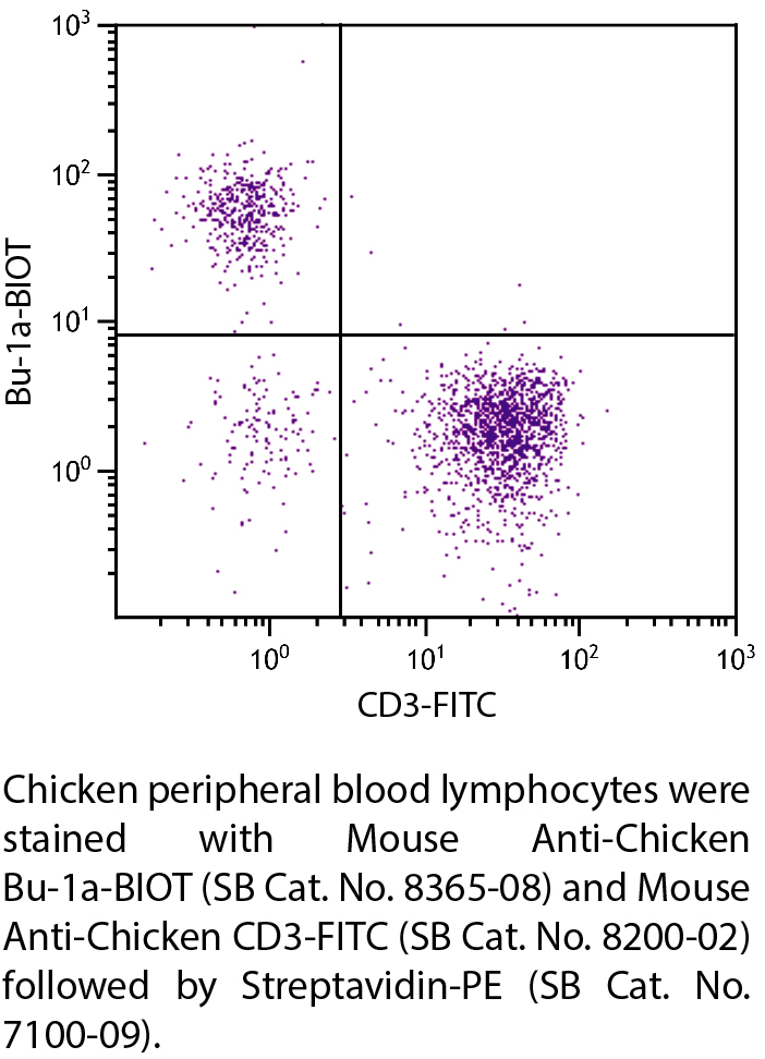 Mouse Anti-Chicken Bu-1a-BIOT - 0.5 mg