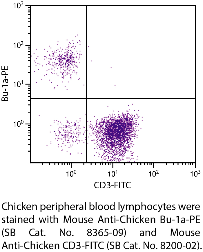 Mouse Anti-Chicken Bu-1a-PE - 0.1 mg