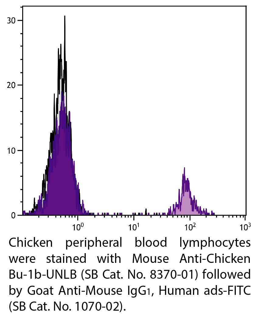 Mouse Anti-Chicken Bu-1b-UNLB - 0.5 mg