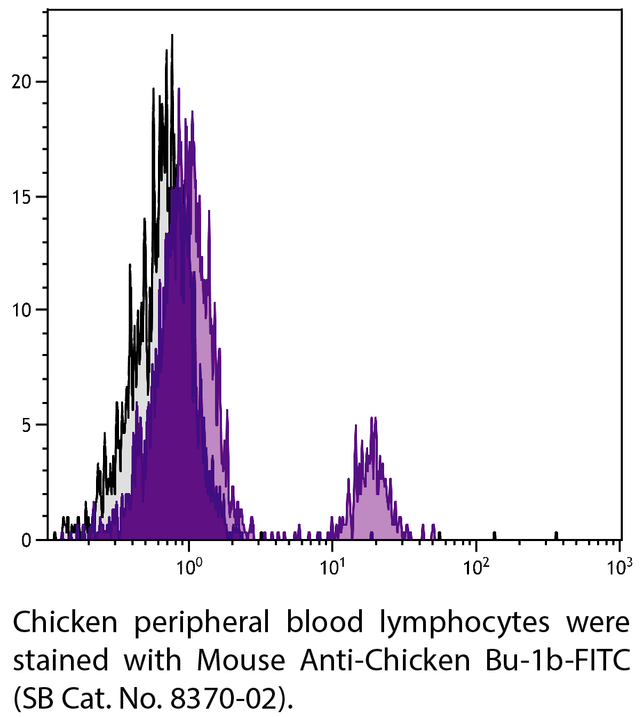 Mouse Anti-Chicken Bu-1b-FITC - 0.5 mg