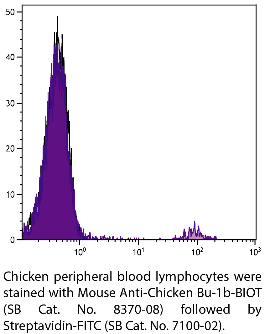 Mouse Anti-Chicken Bu-1b-BIOT - 0.5 mg