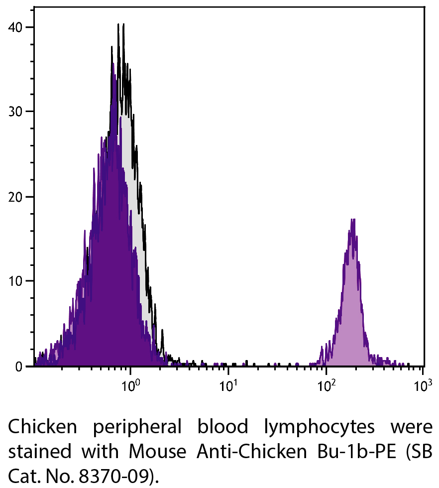 Mouse Anti-Chicken Bu-1b-PE - 0.1 mg