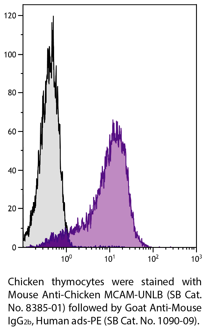 Mouse Anti-Chicken MCAM-UNLB - 0.5 mg
