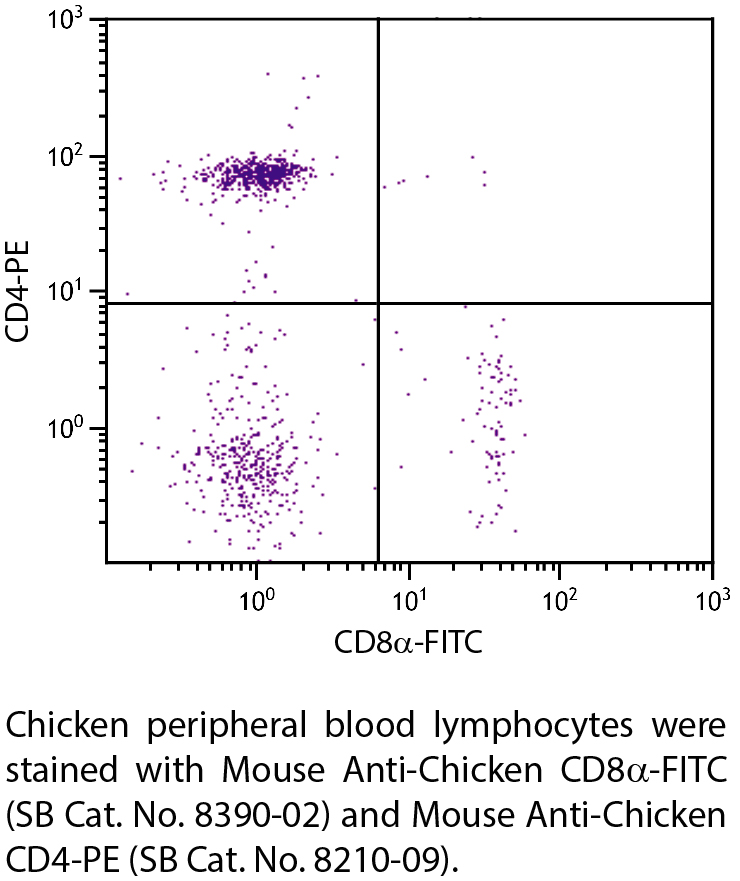 Mouse Anti-Chicken CD8α-FITC - 0.5 mg