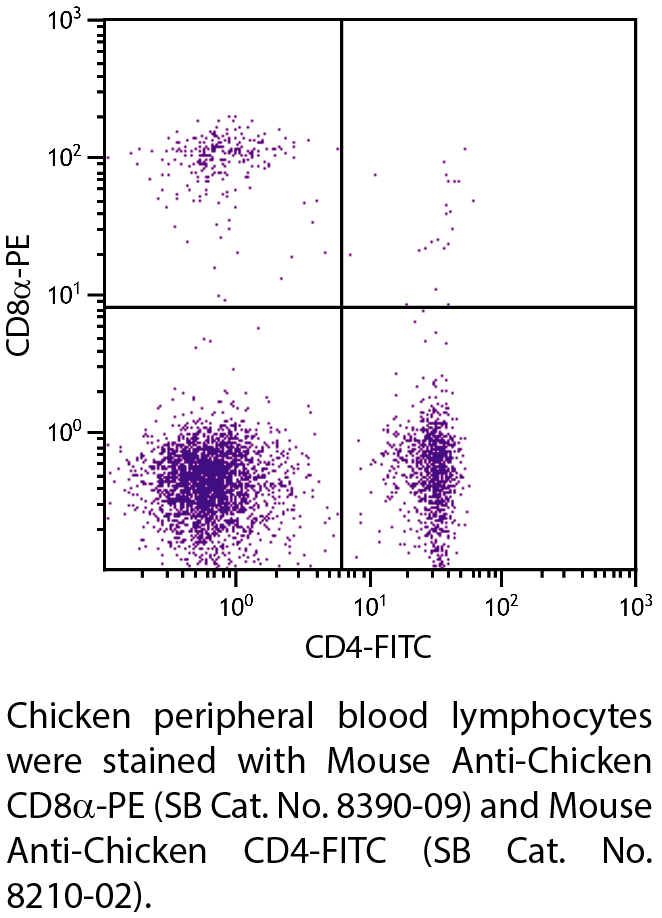 Mouse Anti-Chicken CD8α-PE - 0.1 mg